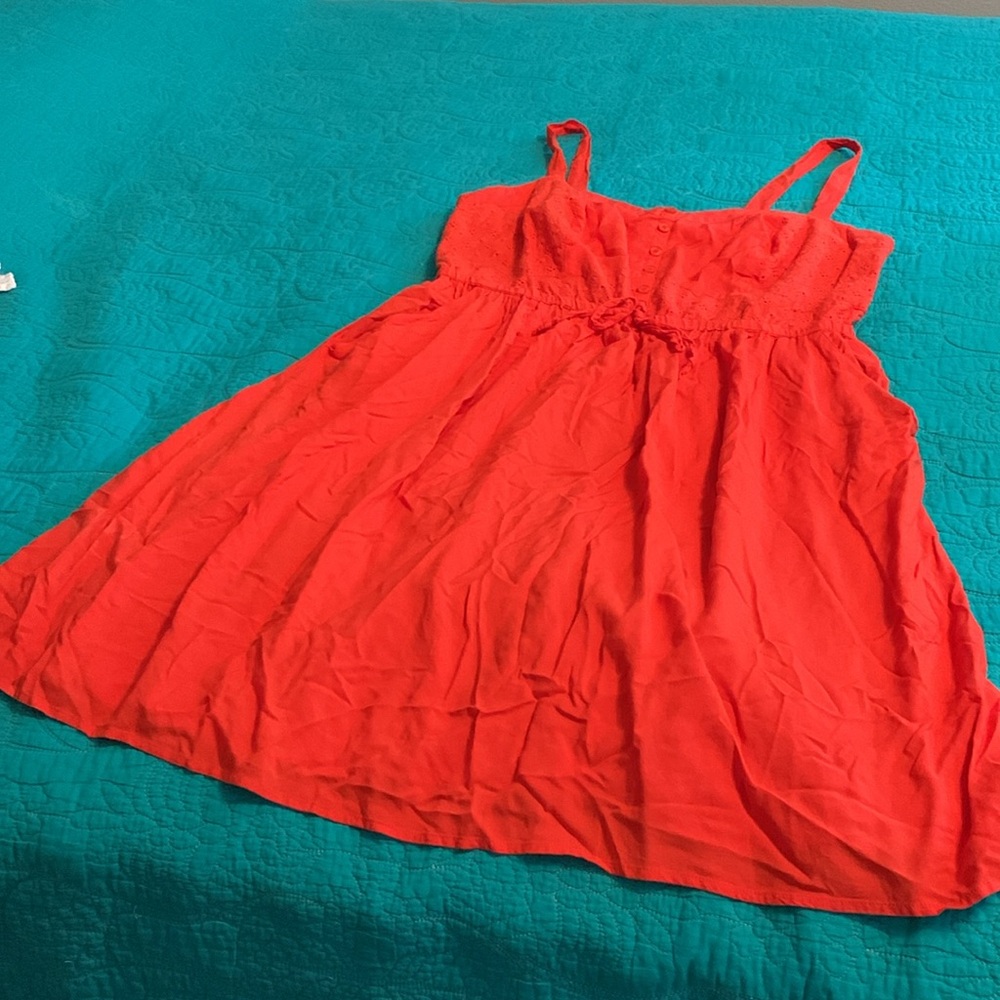 Torrid Dress - Picture 3 of 5